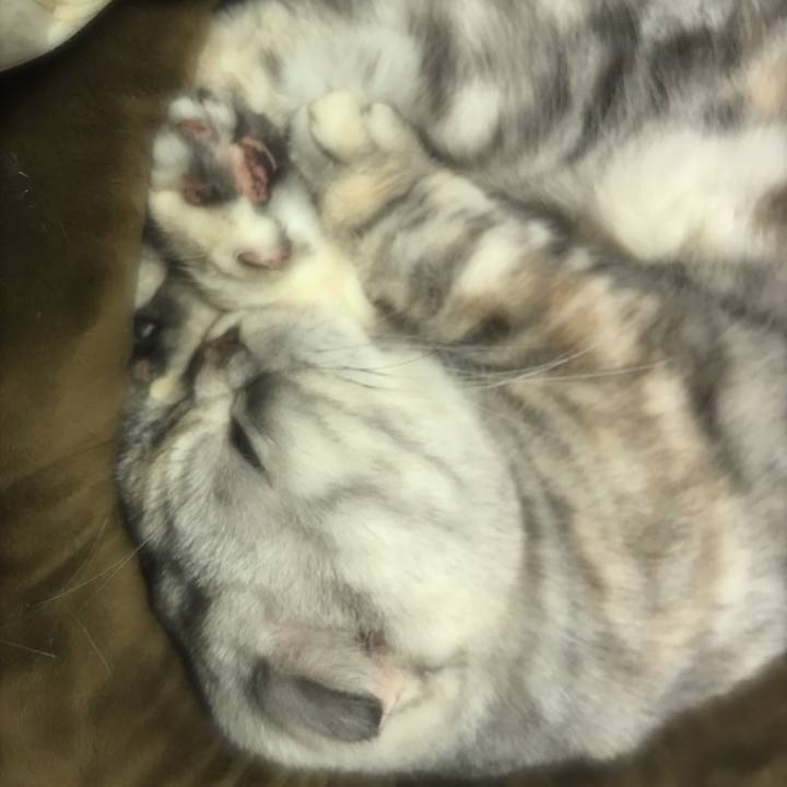 14dcf73c 2a24 448e aa4b 905924e5536b 1513407880026