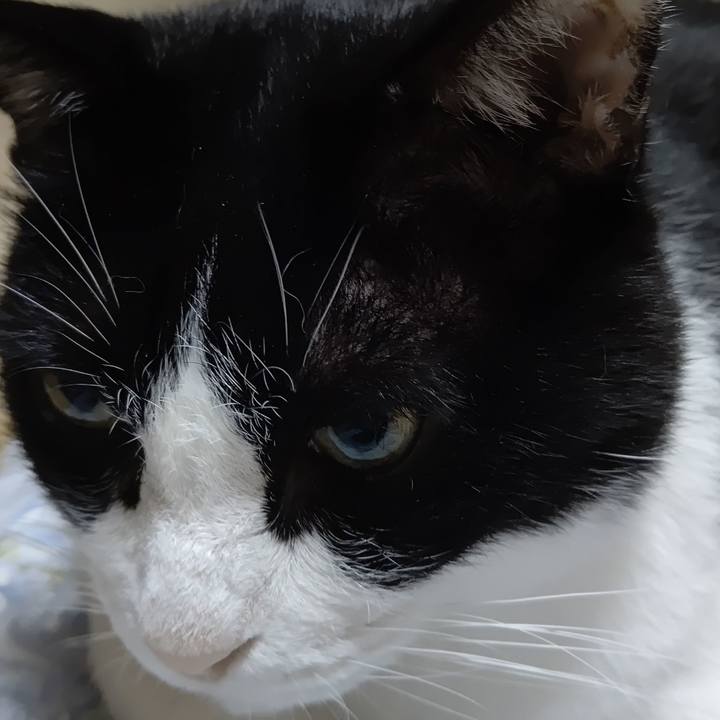 14dd0153 2ad6 4f06 a08b d77b0727de15 1602626296019