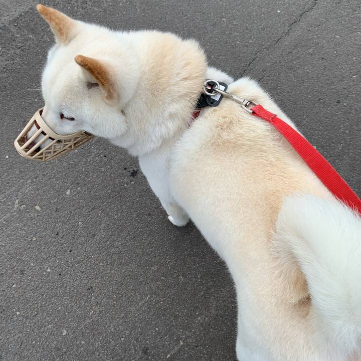 14dd17b7 9004 443d b460 32cad99761c8 1595626894737