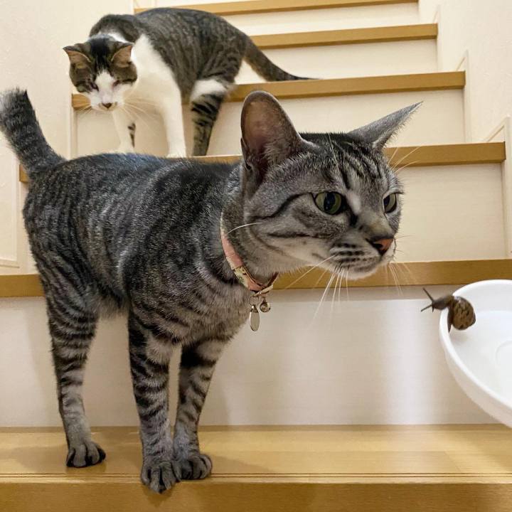 14dd1999 56fb 4756 a1d7 b0bc35bd17b8 1685499500850