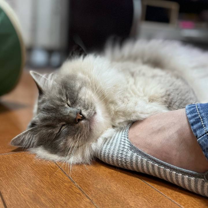 14dd2b0f 75bc 4975 aa4e 1a6d670ff978 1655468756445