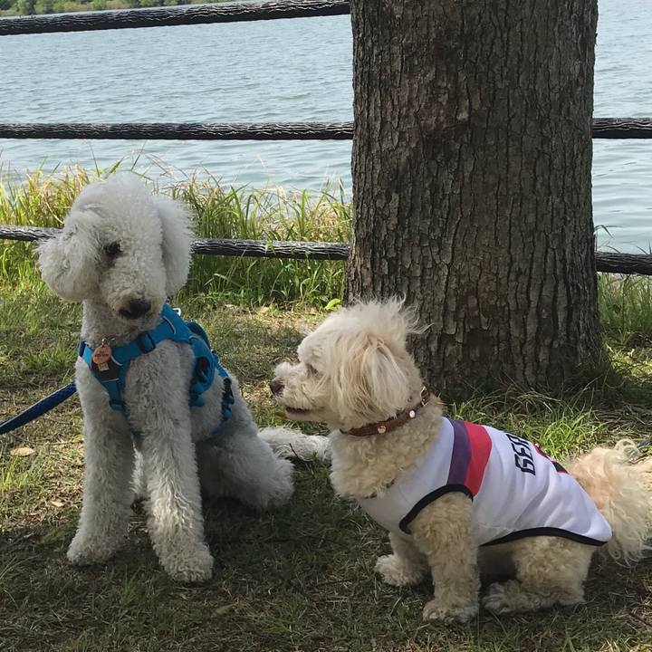 14dd3eaa 4109 4a78 855c 1ca9db621cdc 1620119742953