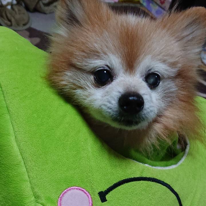 14dd5344 dc61 4cc6 9d41 5a360fc2d026 1671449103360