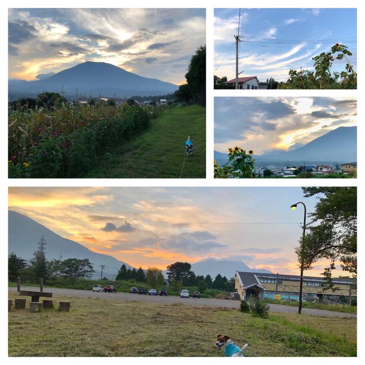 14dd6d7e 9b19 48d2 9dbe 1e7858266fc3 1598527147567