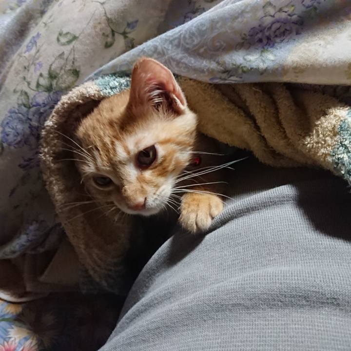 14dd7172 2dee 432b bd29 3e1658f1498c 1631910490004