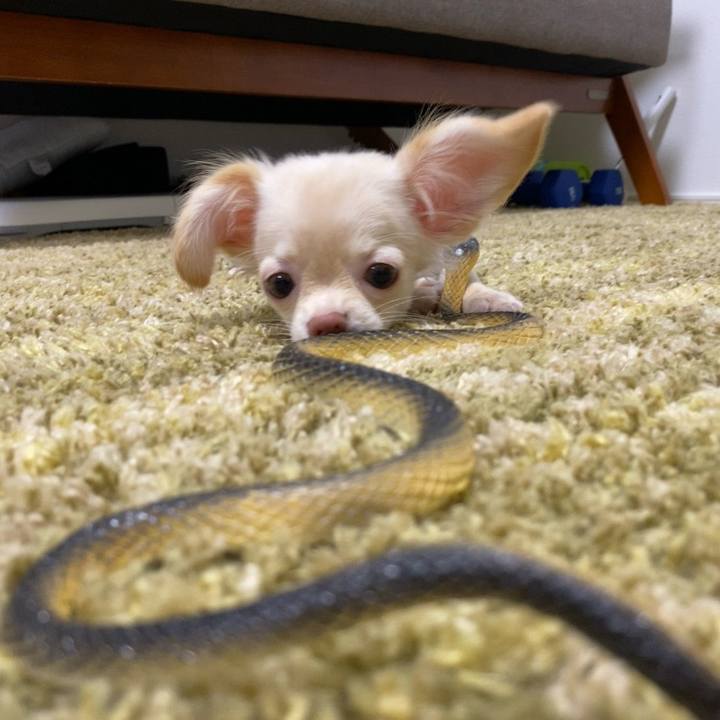 14dd7a5f 9679 4b17 b011 3f3dc3c9a89d 1590728041464