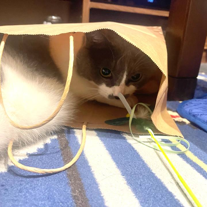 14dd88a6 8686 45a1 8f7d c3061b58b396 1688905272773