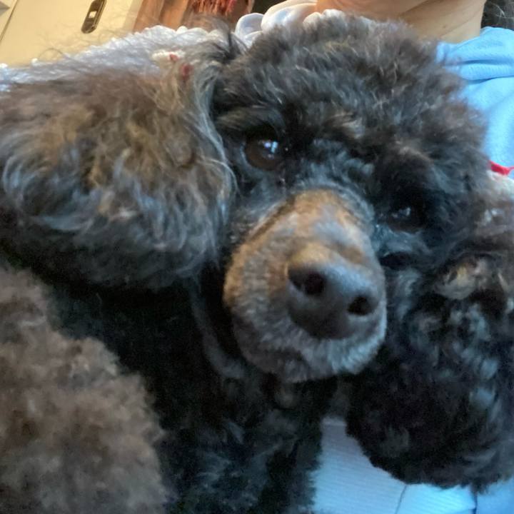 14ddab57 21a6 434f 85f8 ffa505bd3b1a 1622359040603