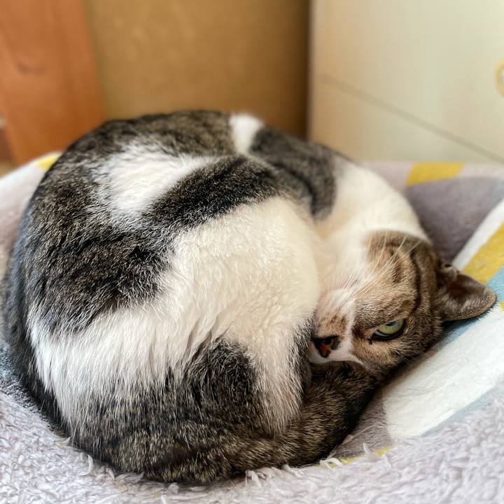 14ddc33a 6716 4f13 89c5 86b1b591261a 1618624010697