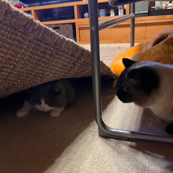 14ddc3a4 3e41 4f50 b05e 99525934d5c1 1652789784309