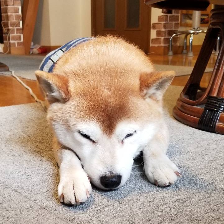 14ddcb05 bf74 4578 8a46 c28667bad17c 1613689034633