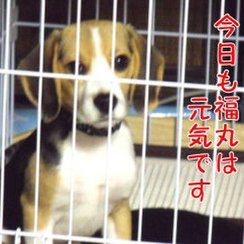 14ddee5f 4dfb 4f31 8219 cd300bad73e5 1676682247861