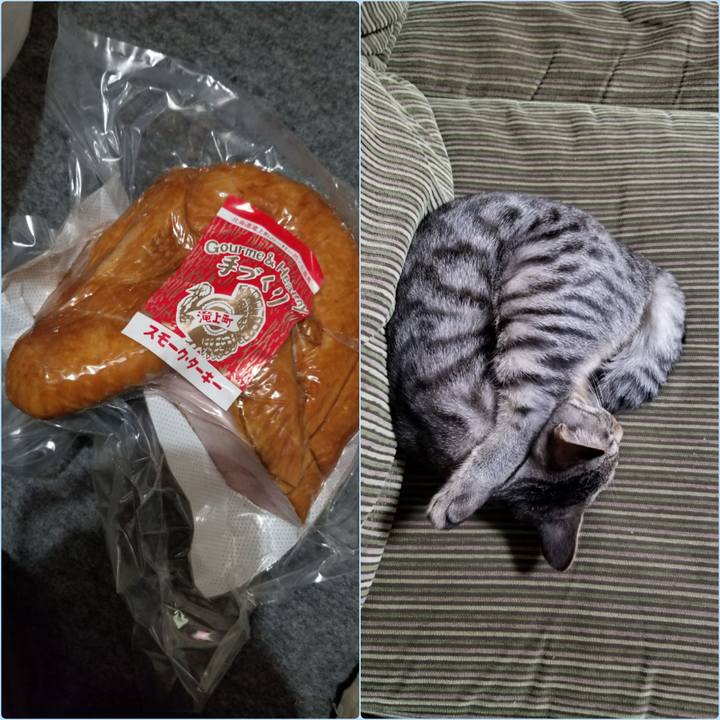 14de2f8f 448c 4dfb 8bb4 d5099ba641a9 1673317199223