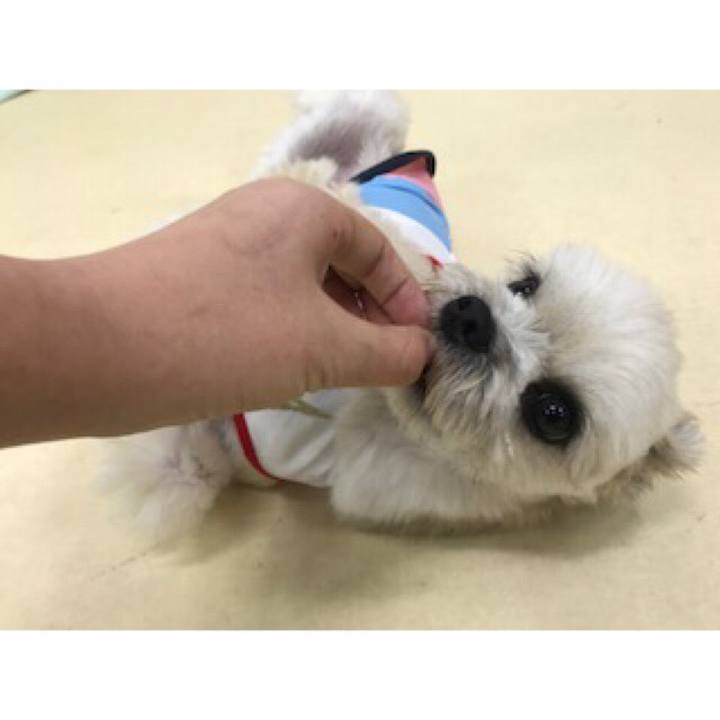 14de42a1 5443 41e9 b088 4195370e9172 1540380995692