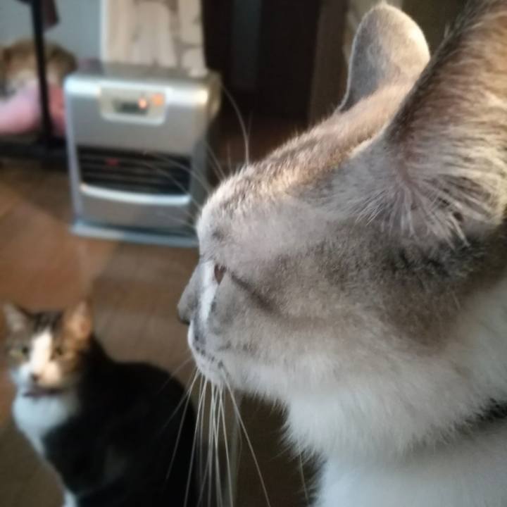 14de9ac0 d083 4f47 b437 64440315f0e1 1517526529167