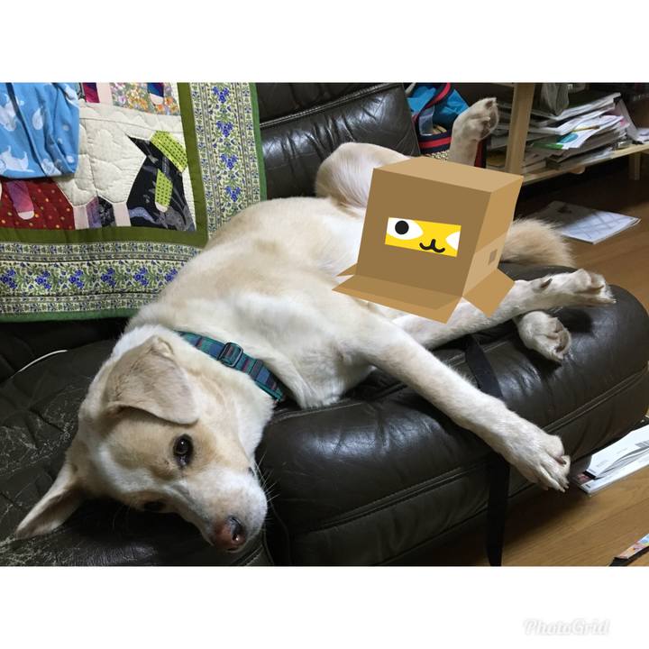 14deaa57 6fbf 4306 a27d 336679203dd4 1538146823508