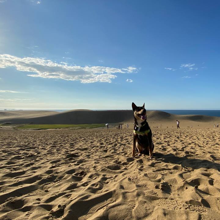 14deba80 6a82 45a7 b880 b6cd4149eea8 1632130573912