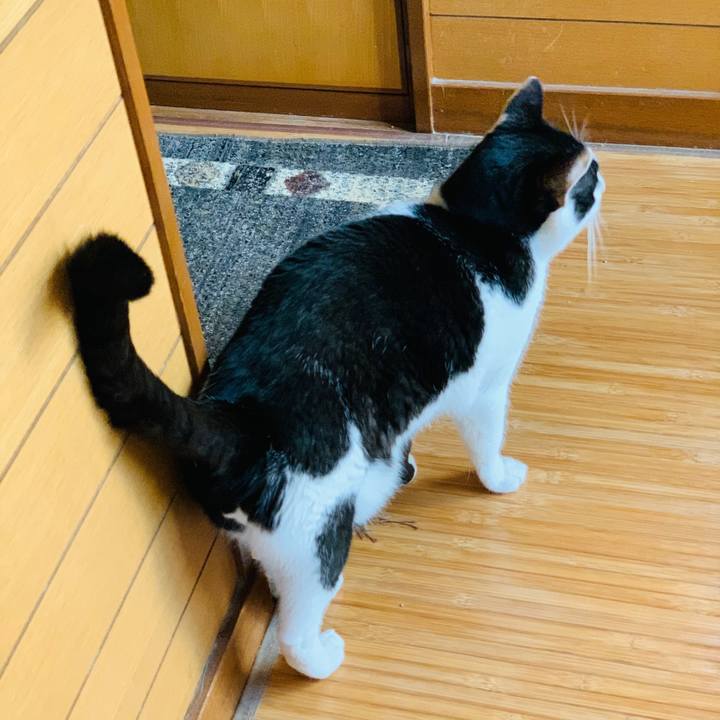 14dee698 250b 4b9a aca9 06d894e22700 1603677990670