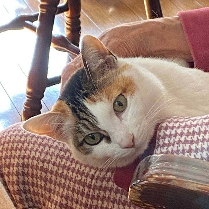 14df086b 9e30 4016 852b ce0d8b7cbdb4 1768538058378