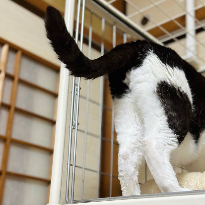 14df113f 42f3 4f85 9605 3d751871fe09 1685321656445