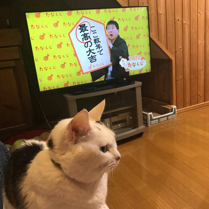 14df390d cf46 4a25 87cb 2b7b695d4f80 1640963175750