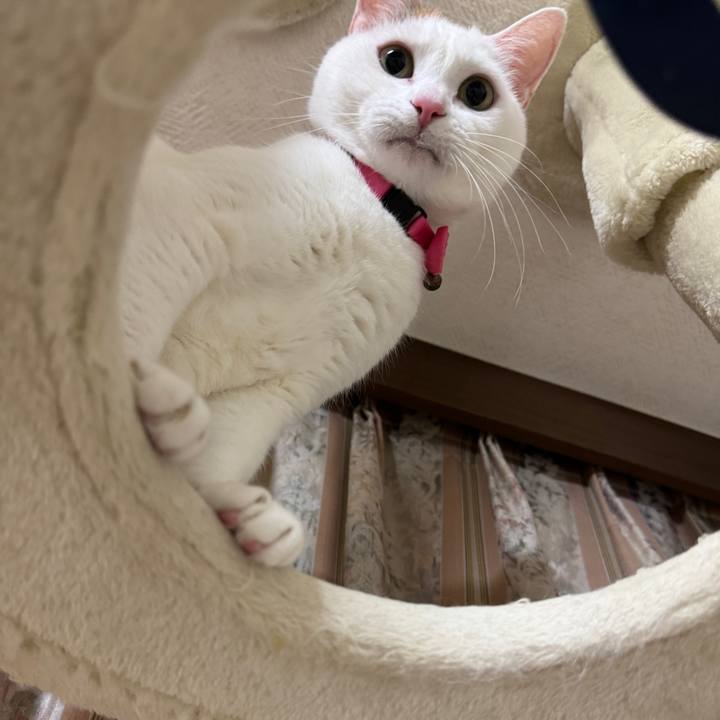 14df45d5 4721 4d08 abaf 899a5515e928 1762522863970