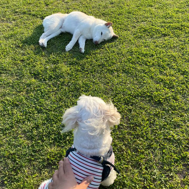 14df4dcd ccc9 4824 8ee4 2cab52468db9 1651575619995