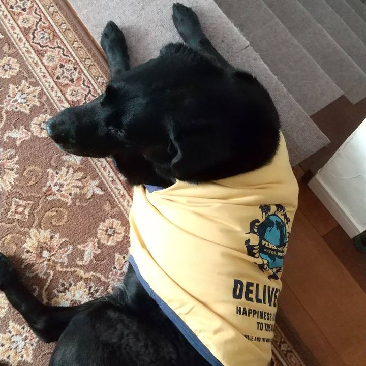 14df5e23 17d9 4432 99c3 2188b4bc3cca 1691805472171