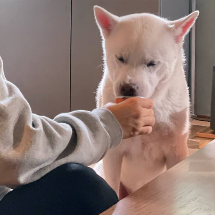 14df724a 29bf 436e 8046 56d7789d2b96 1707825118141