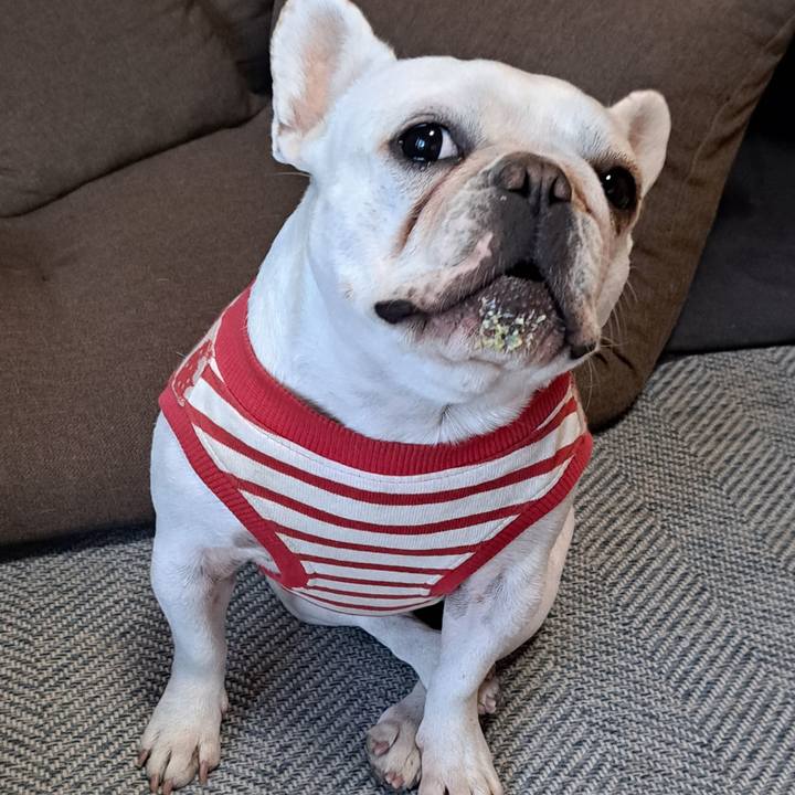 14df8efd ac11 4985 b4a7 c3d0031081b8 1700003026873