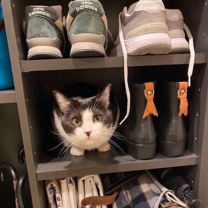 14df9cf6 3266 4695 a40e 6944f7be8911 1735471654341