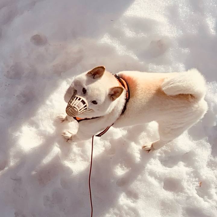 14dfa9ac 4f7d 4236 9e58 b2e8bf93554d 1615518014746