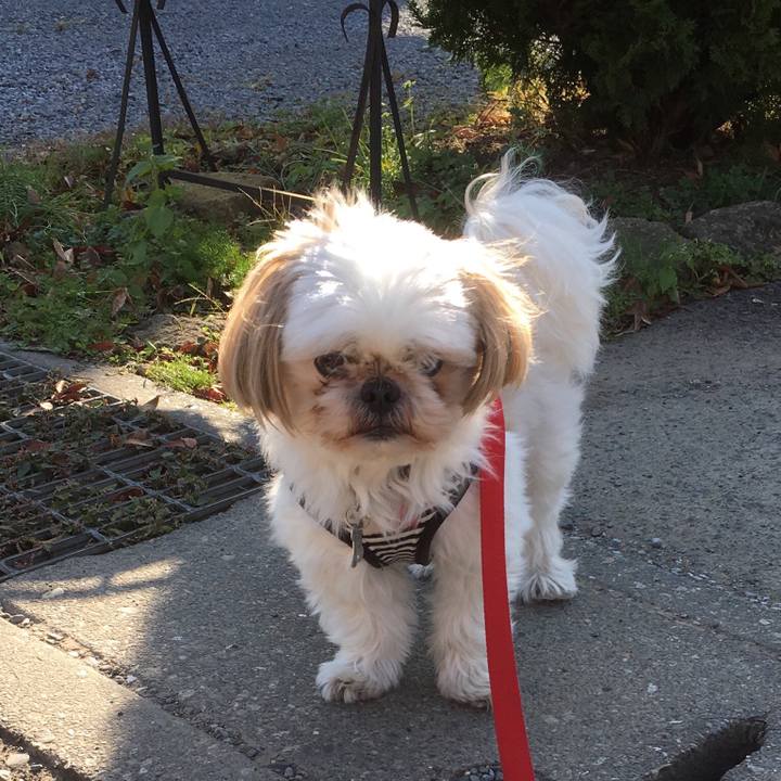 14dfac63 f427 4566 9110 4a2045a268a8 1510536594687