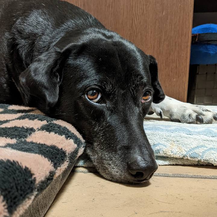 14dfcc05 24e2 4166 99cb 8260d34b0840 1705702475331