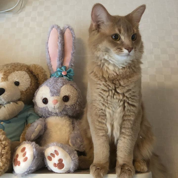 14e02061 f6be 43f1 a0c7 6caacf75dc0b 1556108251491