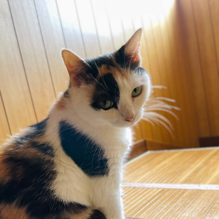 14e05858 33b9 459b ac80 14aebcfabb1a 1659576955737