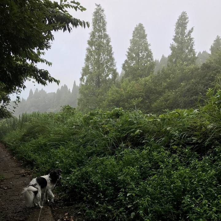 14e06773 779a 4a7b b878 e5ced3670c25 1535548680046