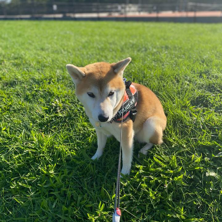 14e085e3 ccec 4dd5 bd6b bdb6e951fbbf 1601343945961