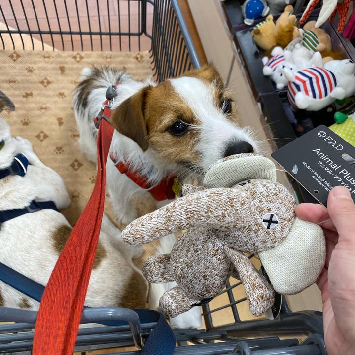 14e0a5d1 e13d 4025 aadc e2df14a10b97 1659269645534