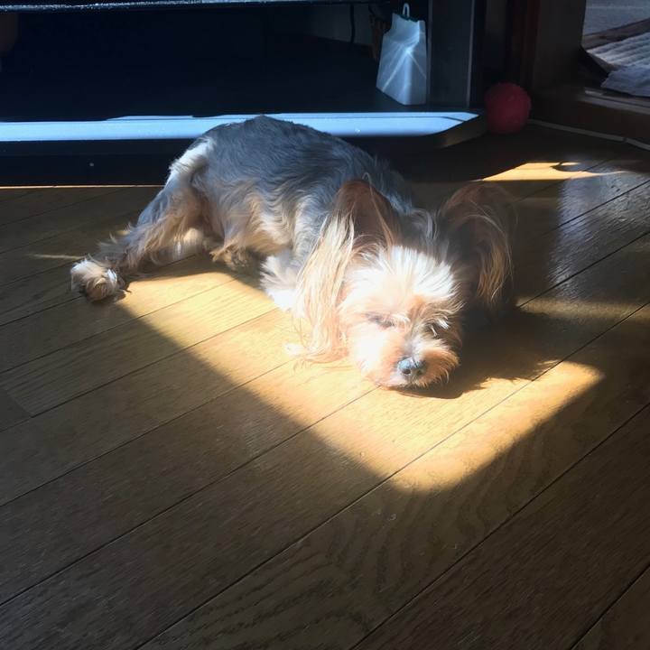 14e0e09d 067f 4e4f 81a7 35e490d6c3c9 1568712305474