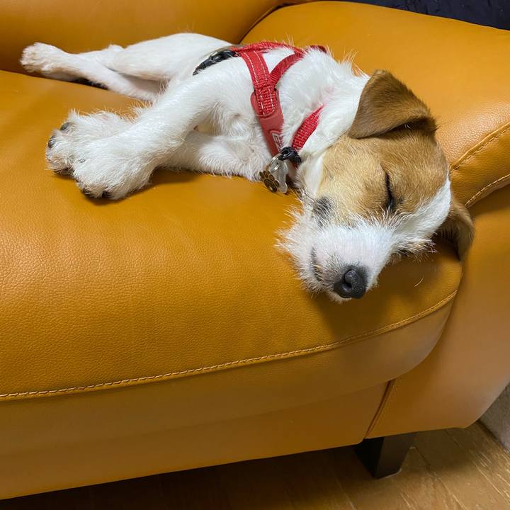 14e12300 690d 4110 94fd 06f4631d51b8 1621174966958