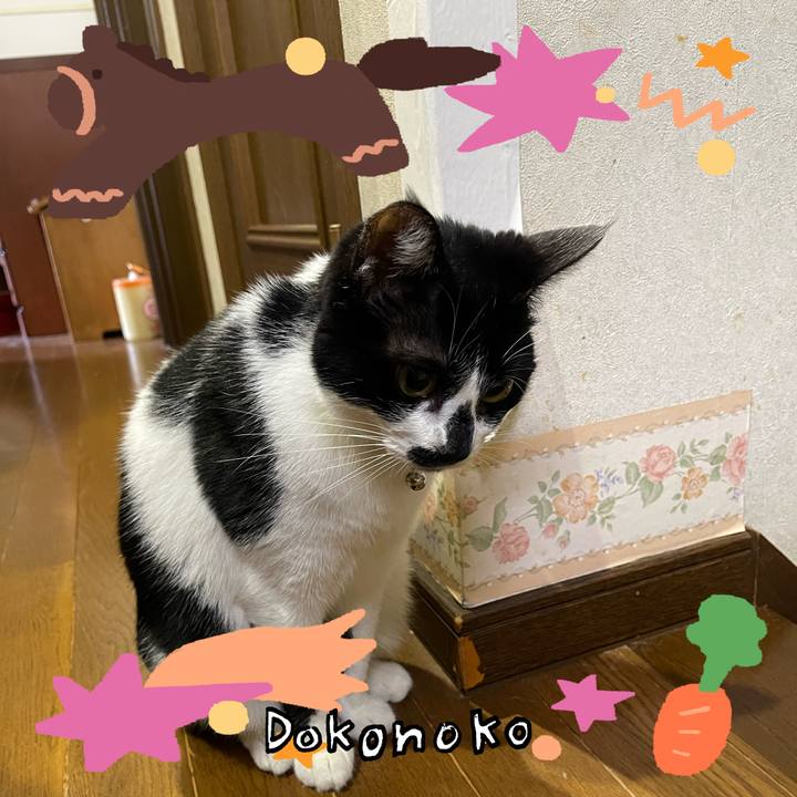 14e14837 332e 458d a84a 67b53bcaf969 1772145994269