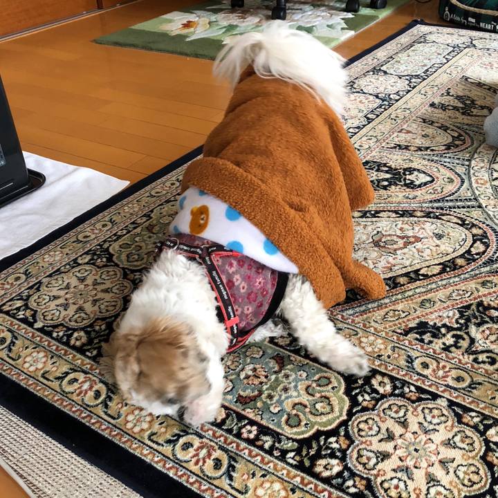 14e17b08 e643 423a 9c87 d6b8b0704e2a 1610575044661