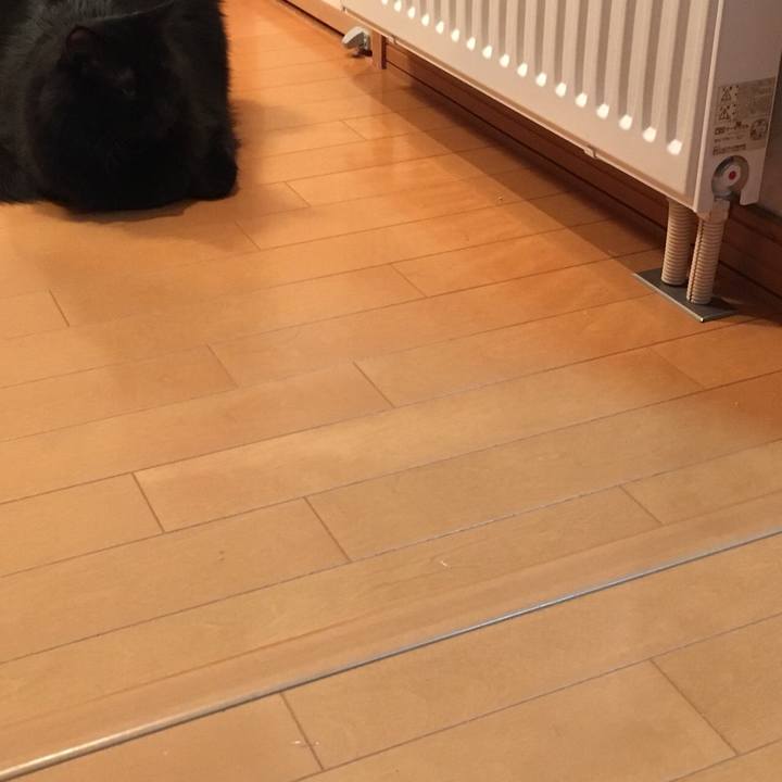 14e1eb3f 37fe 4575 9c82 d28872174c66 1517753659667