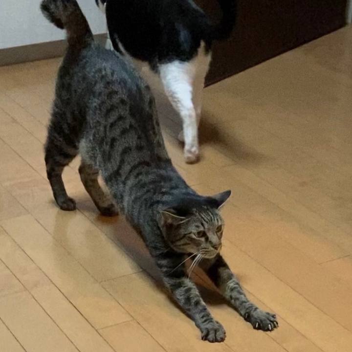 14e2231c 5bcc 4863 9cb9 10bc2c47820c 1643181040142