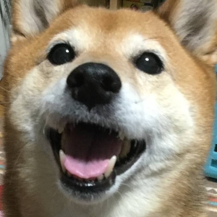 14e23790 b2a1 4da4 a3ce 993c3efd46a0 1556509052917