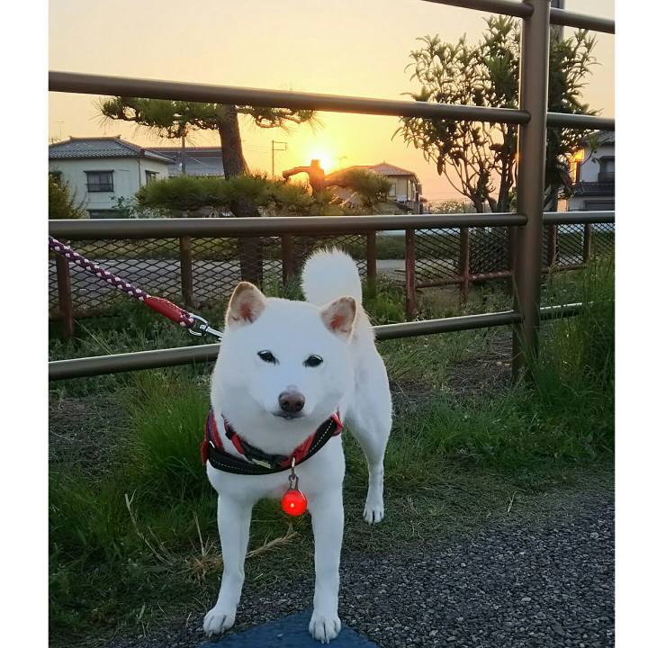 14e26684 3617 4d8d 9cfa e878ce2f5ee5 1588412428544