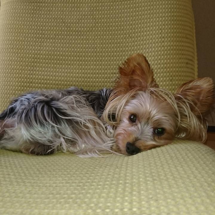 14e2cf86 6bd1 4ef7 8c16 82b7a52a07b1 1534822577141