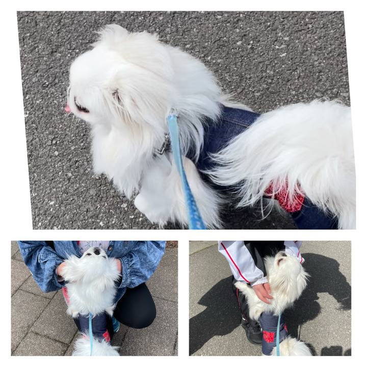 14e2fea7 d393 4629 b97b 7de27da18446 1648819813755