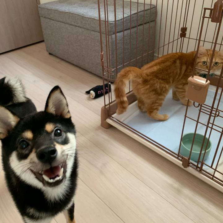 14e31ad3 6c54 4aab 97df 56389db4ee9e 1565416075949